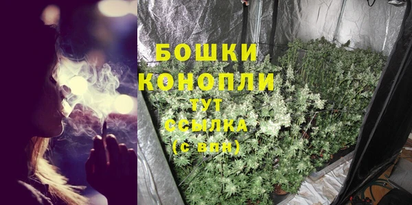 трава Армянск