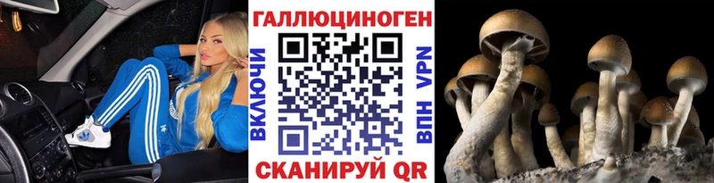 Псилоцибиновые грибы ЛСД  купить  сайты  Каспийск 